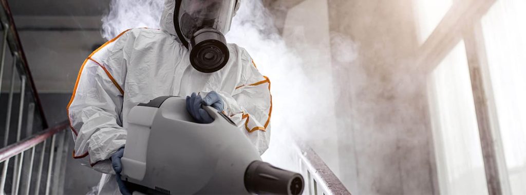 Tips To Conduct A Mold Inspection In Your Home