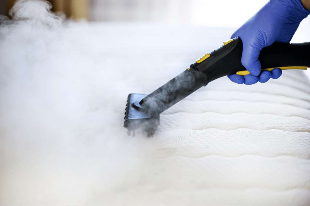 6 Essential Questions To Ask Your Mattress Cleaner