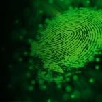 How Cyber Security Companies Prepare for a Breach