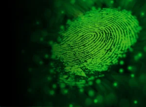 How Cyber Security Companies Prepare for a Breach